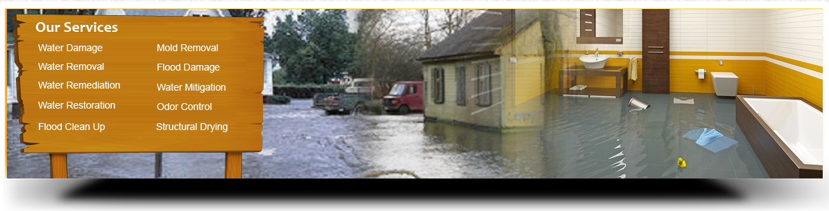 Flood Damage Clean Up